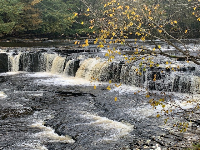 Aysgarth Falls