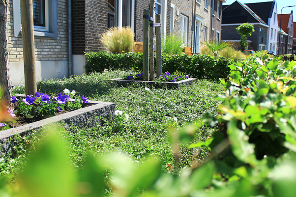 Glam Up Your Front Garden