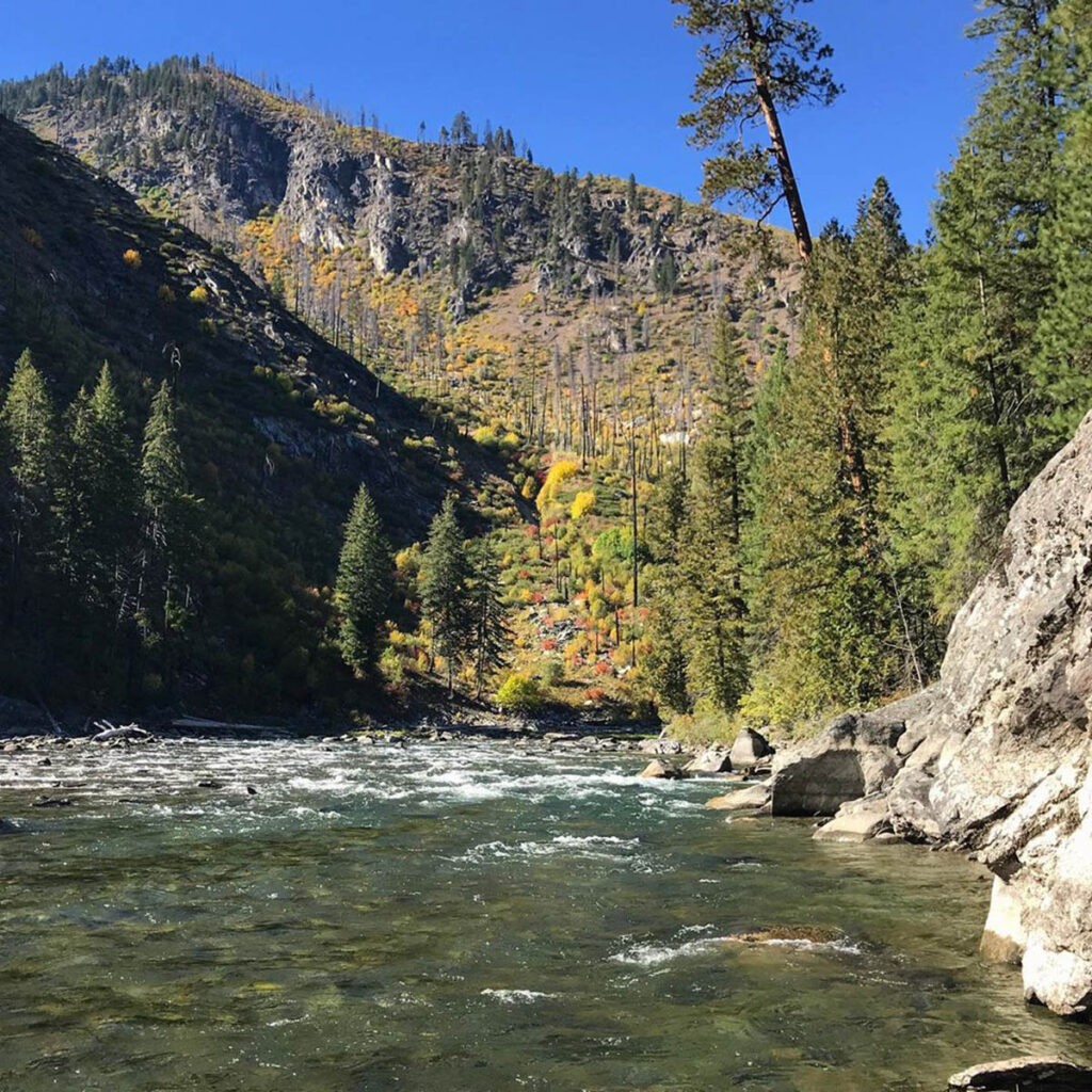 8 of the best adventure walking apps
