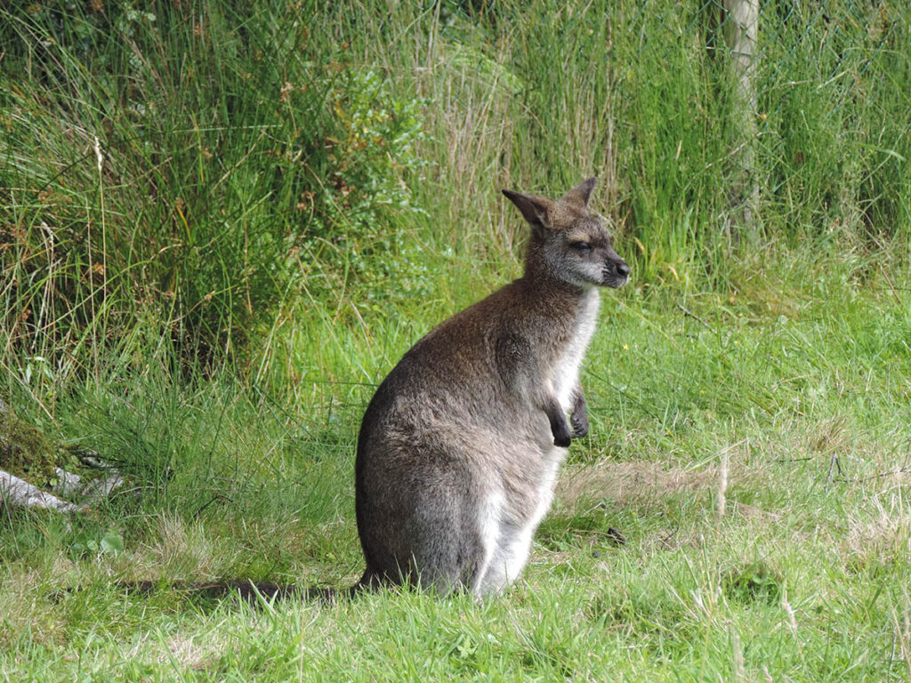 Stay at home destinations