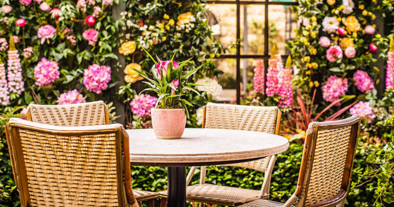 The Ivy Harrogate