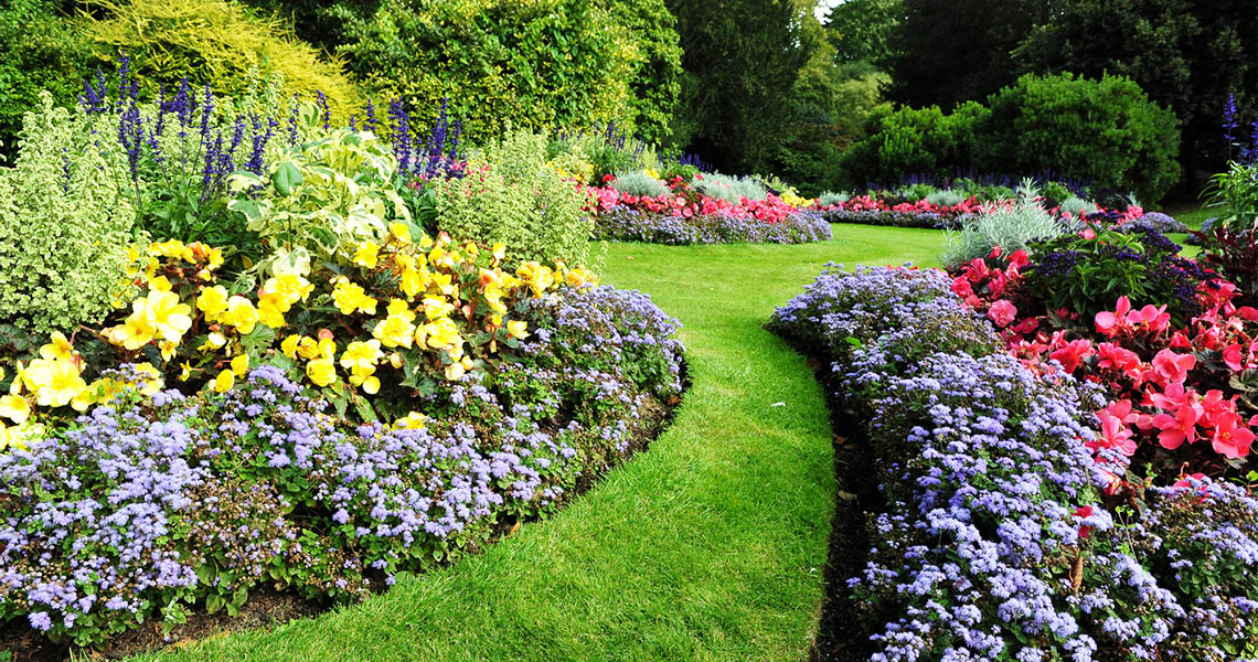 Summer Garden