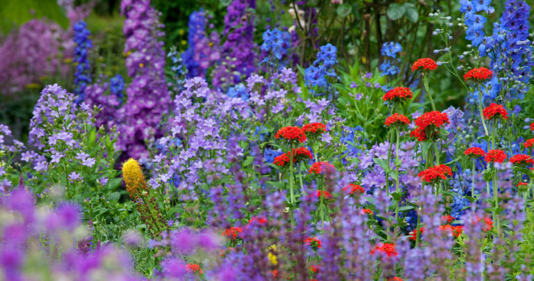 Garden makeovers