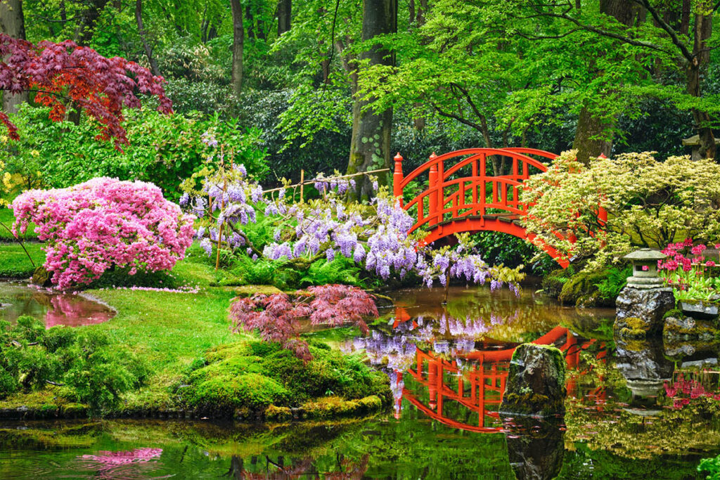 Garden makeovers