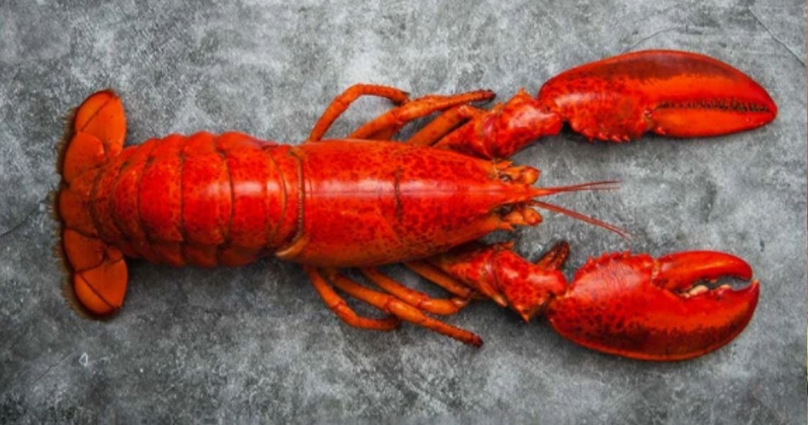 HOOK'D SEAFOOD DELIVERY