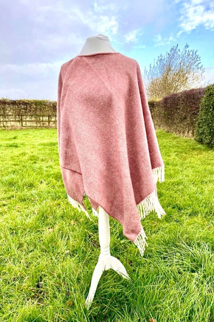 The Wilde Sheep Company