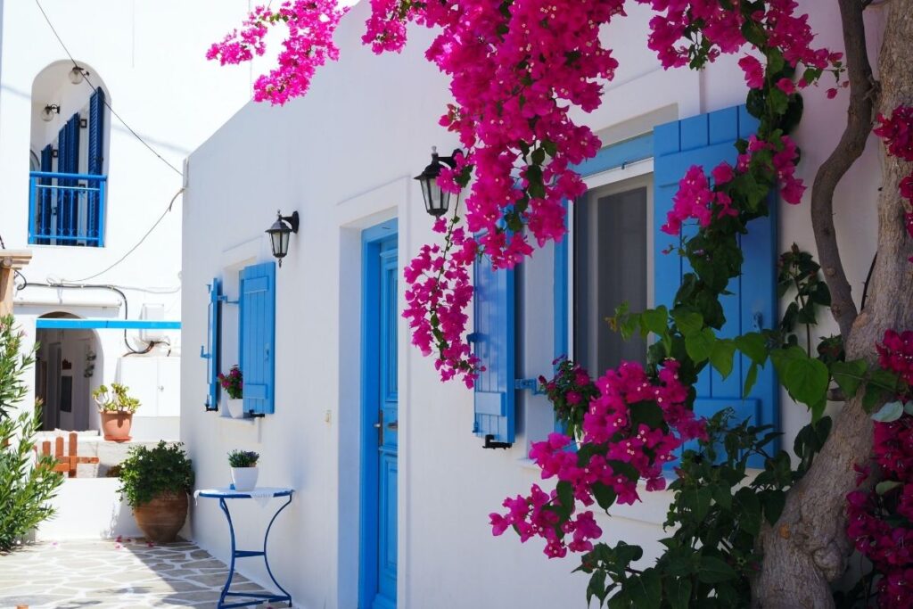 Mediterranean