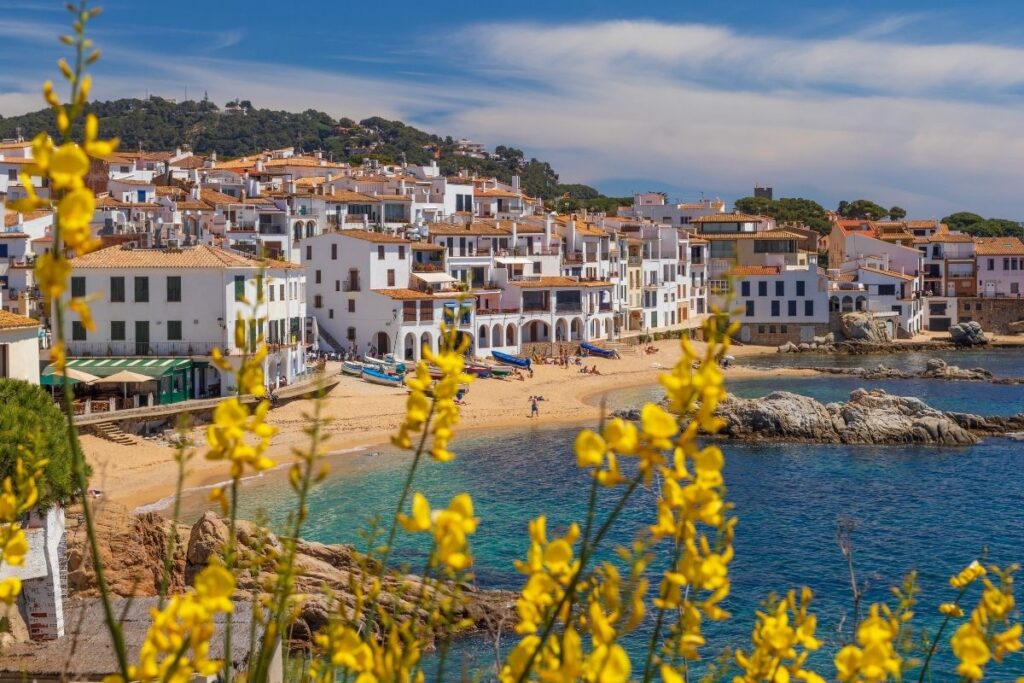 Mediterranean