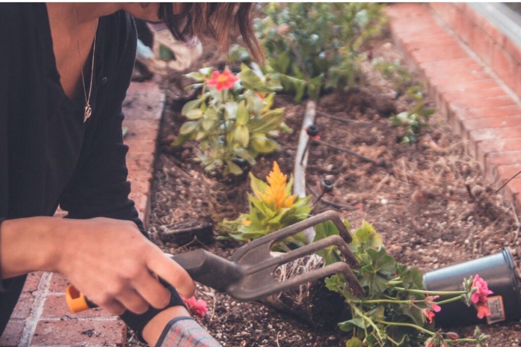 gardening