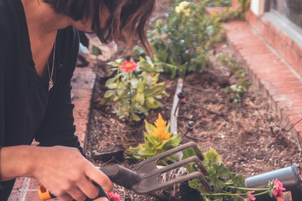 your garden
