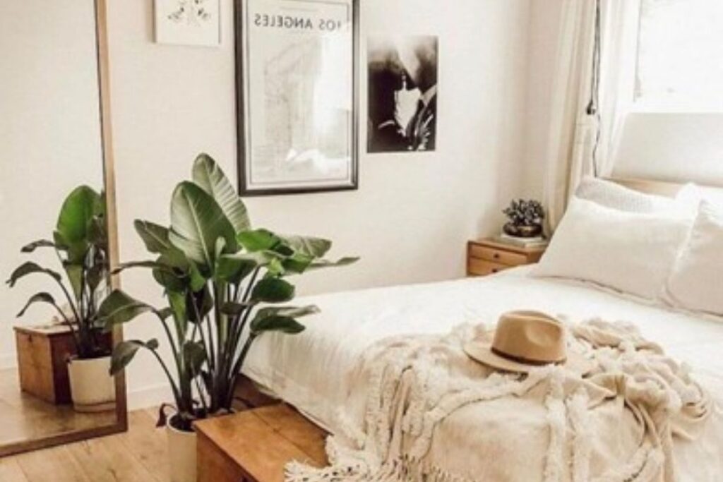 renovate