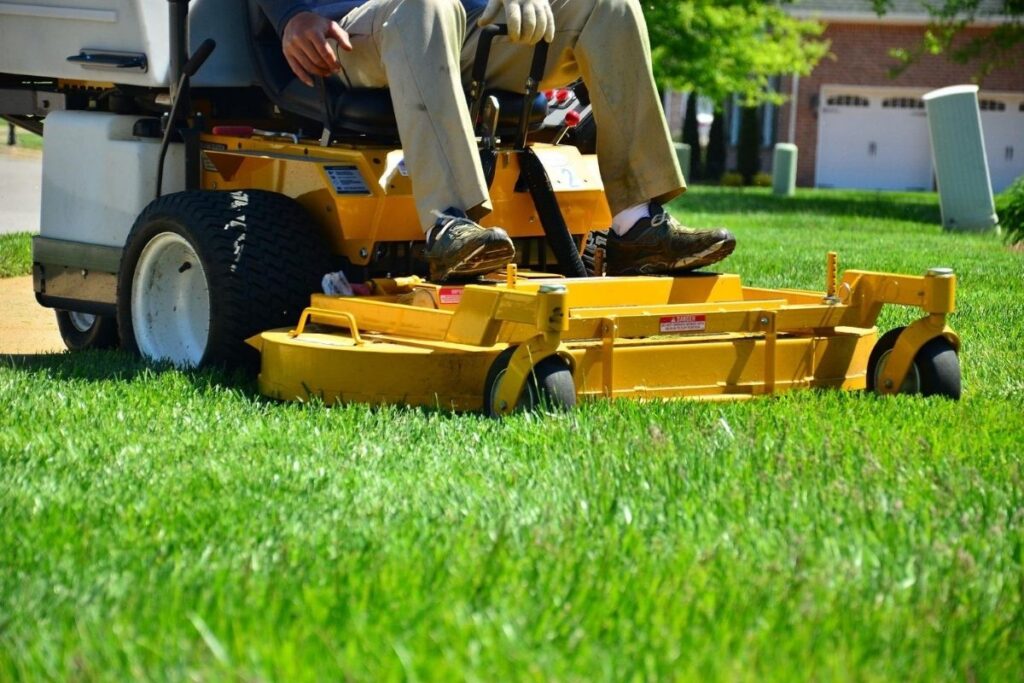 lawn and garden