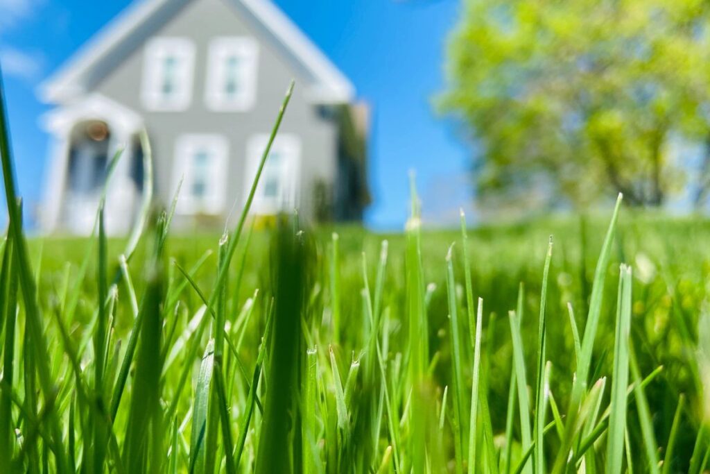 gardening jobs for September