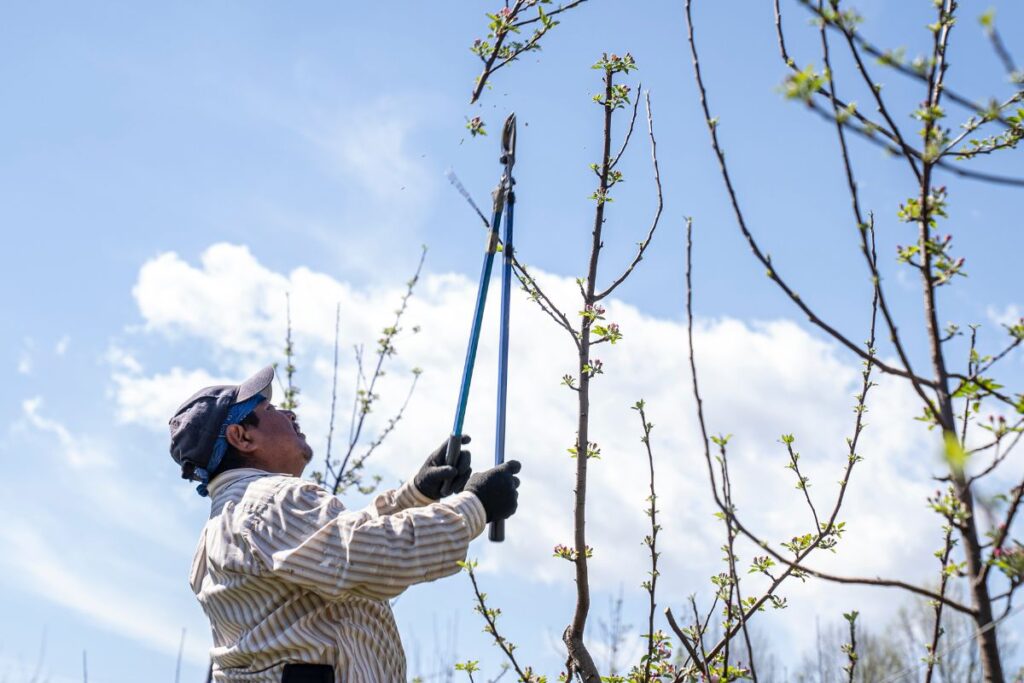 gardening jobs for September