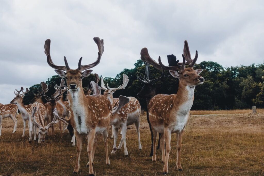 days out