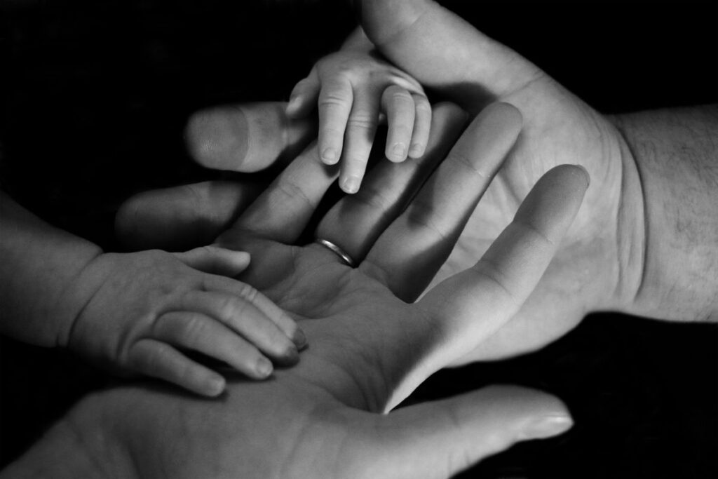 family mediator