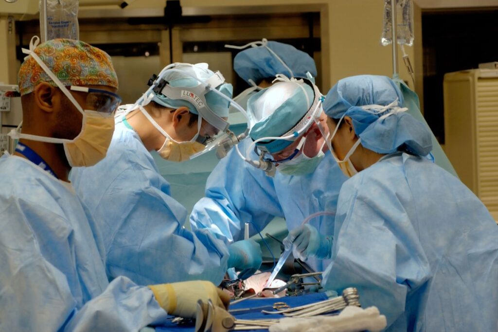 aortic valve