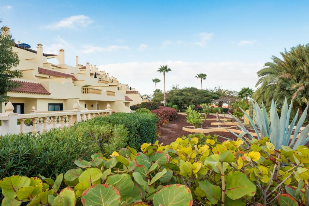 escape the winter blues