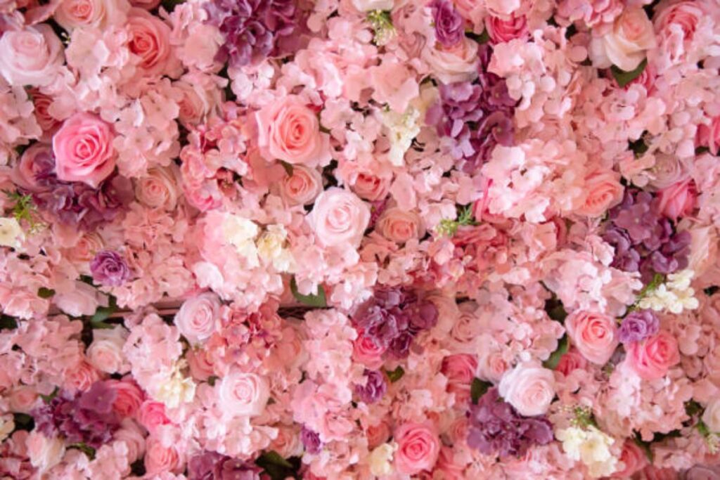 celeb home inspo flower wall