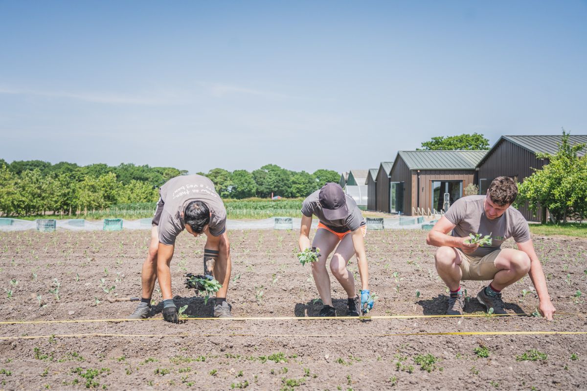 Groobarbs Field Kitchen Joins Forces With Halfpenny Green Wine Estate groobarbs-field-kitchen-joins-forces-with-halfpenny-green-wine-estate