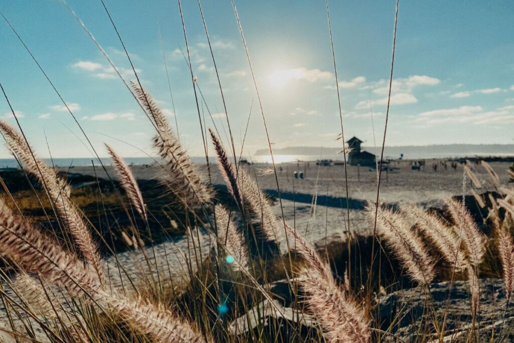 beach destinations California