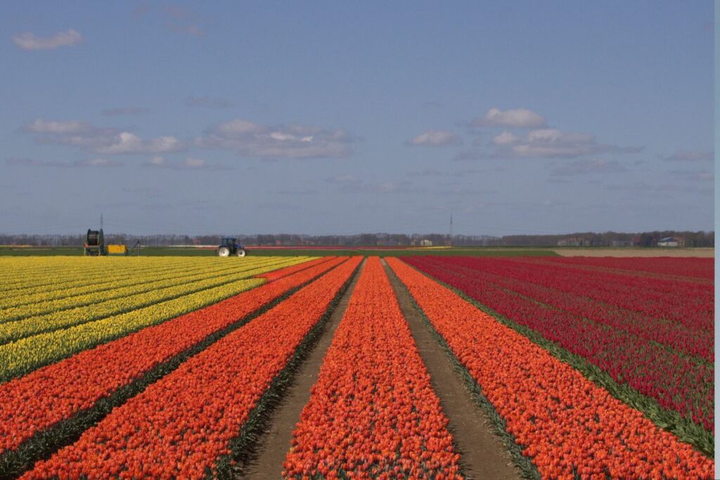 Europe's hidden marvels Keukenhof Gardens