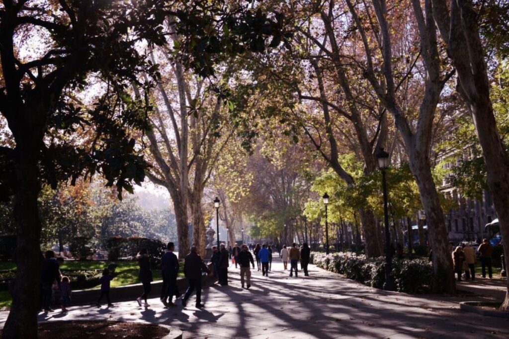 holiday adventures Madrid