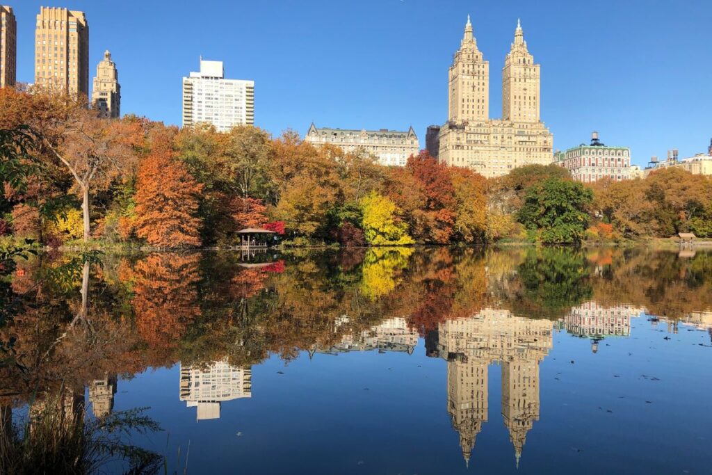 solo travellers guide New York