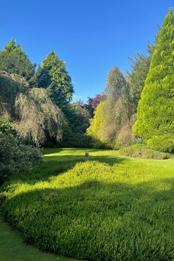 luxury self-catering The Pheasant Lodge