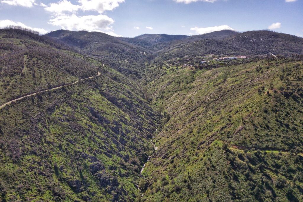the Algarve landscape
