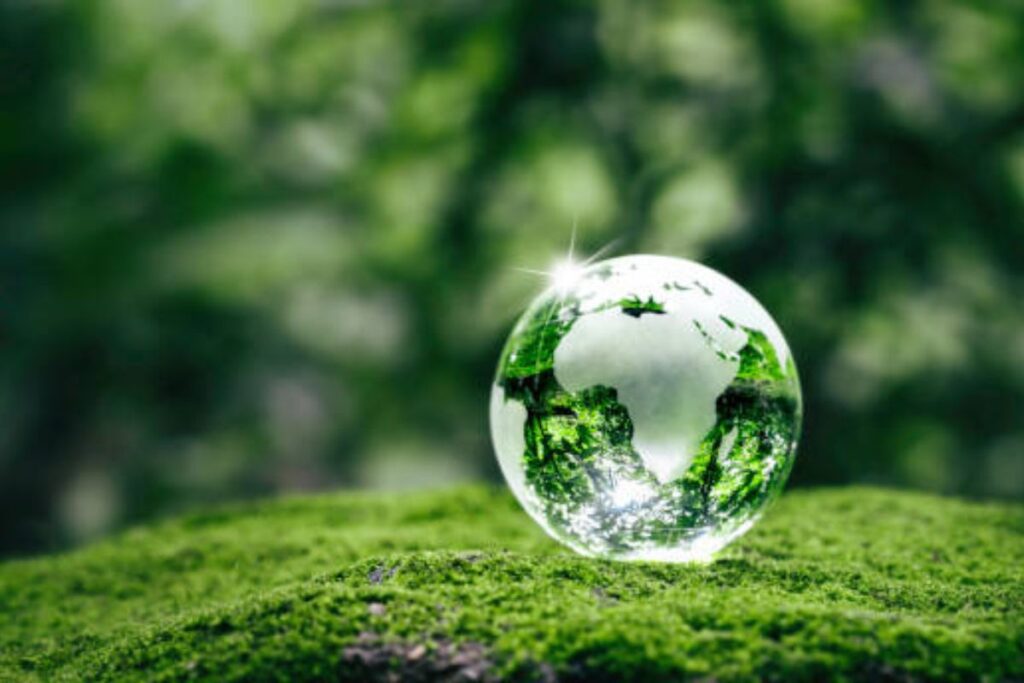 renewable solutions