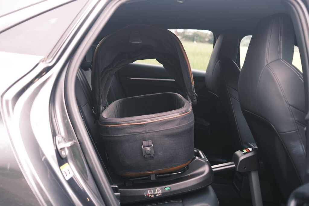 Maeve Pet Protection system