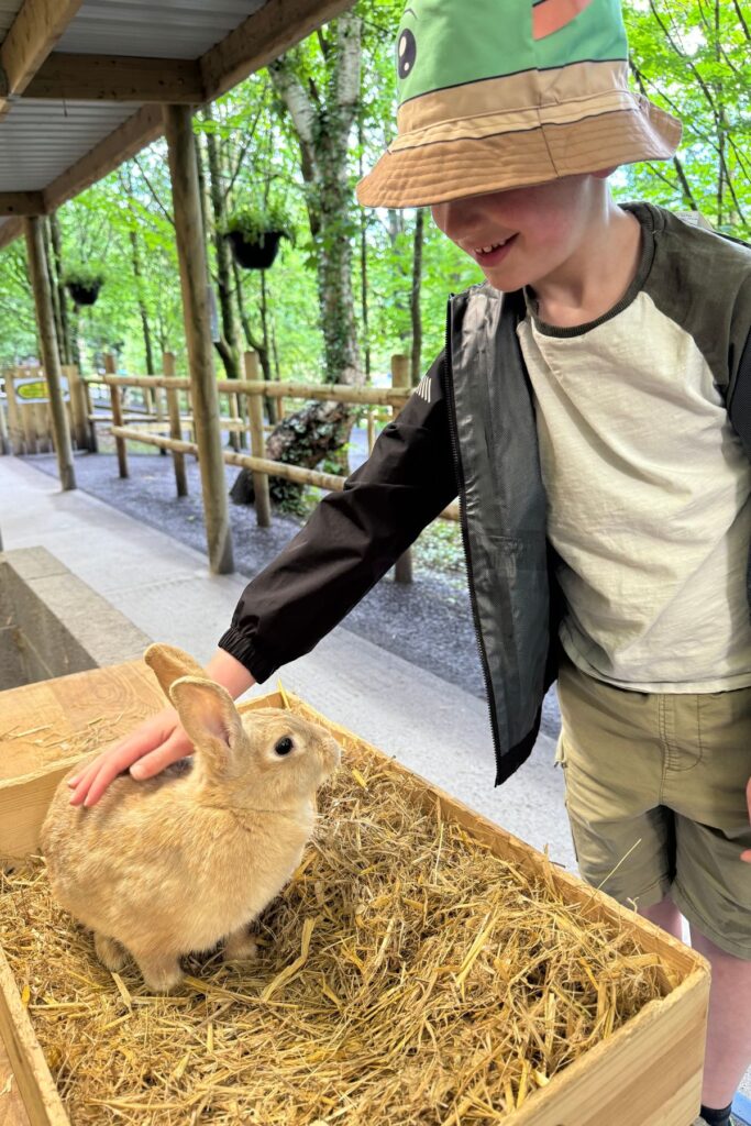 Greenwood Tipi Glamping and adventure park