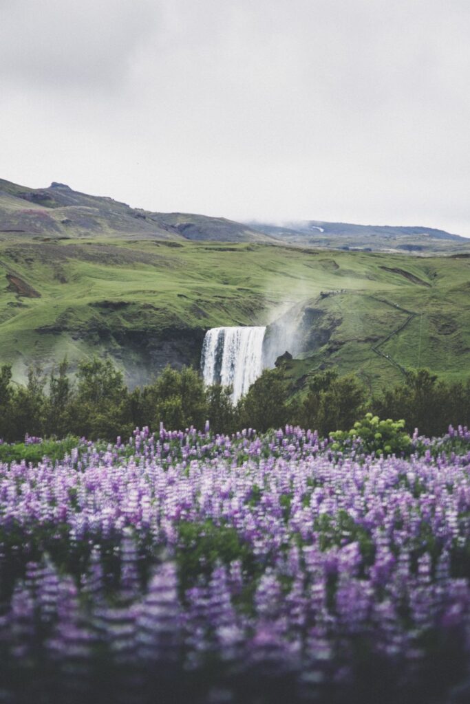 Hidden Iceland