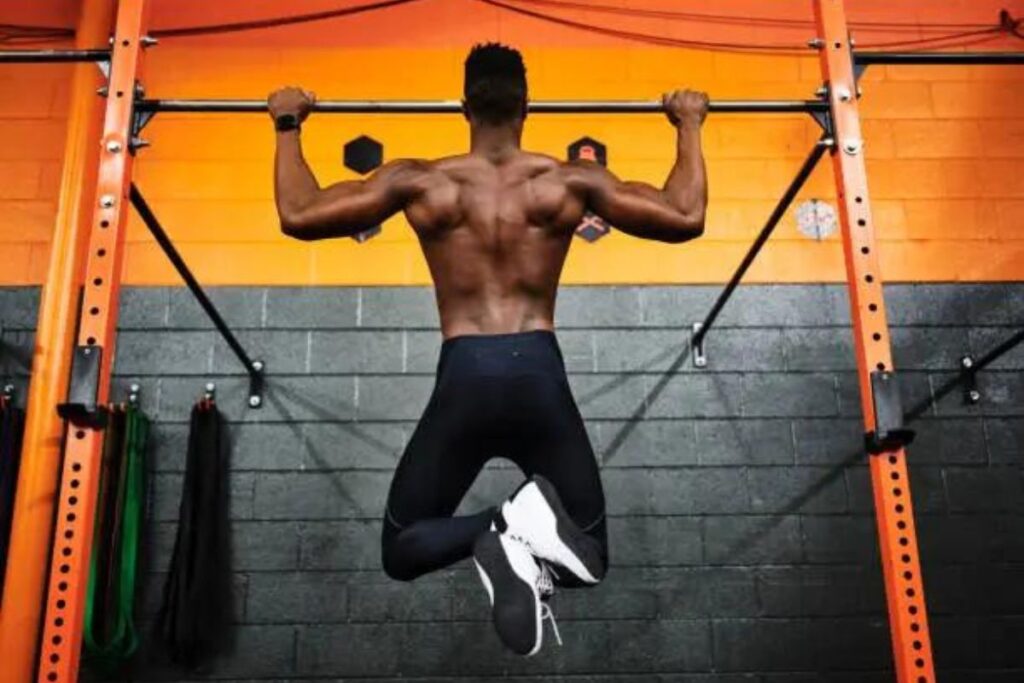 dip bars vs pull-up bars