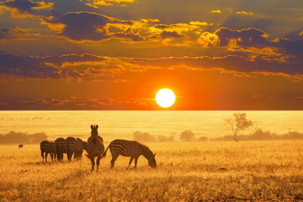solo travel Namibia