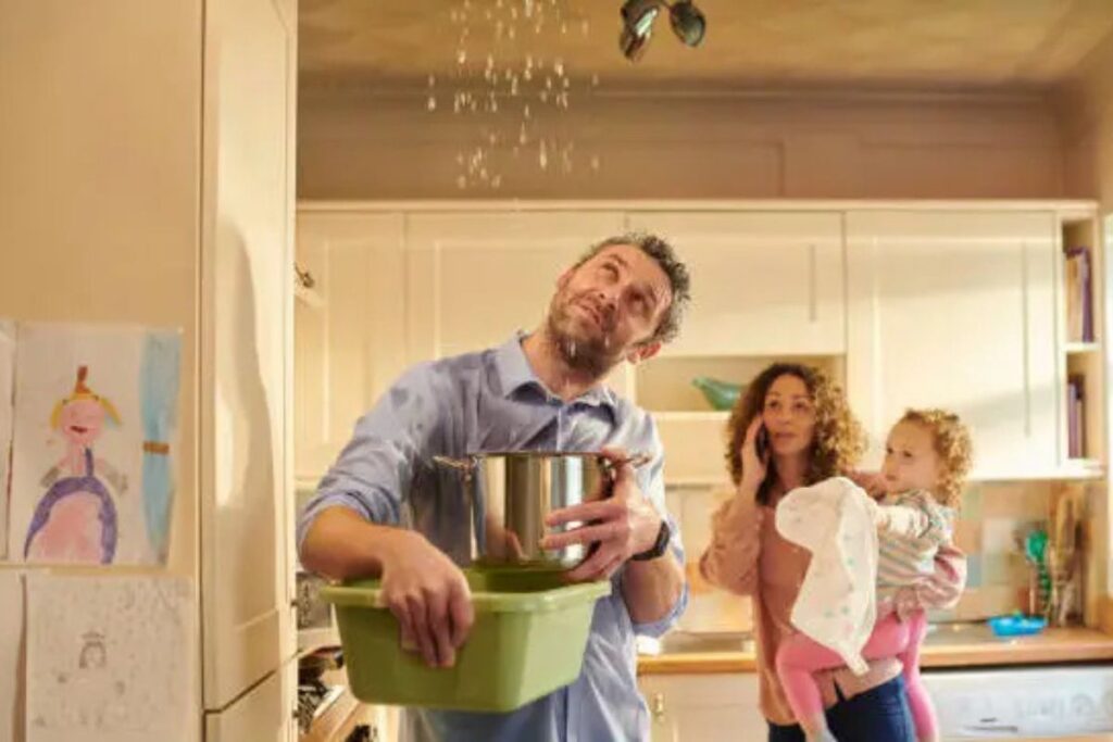 homeowners insurance