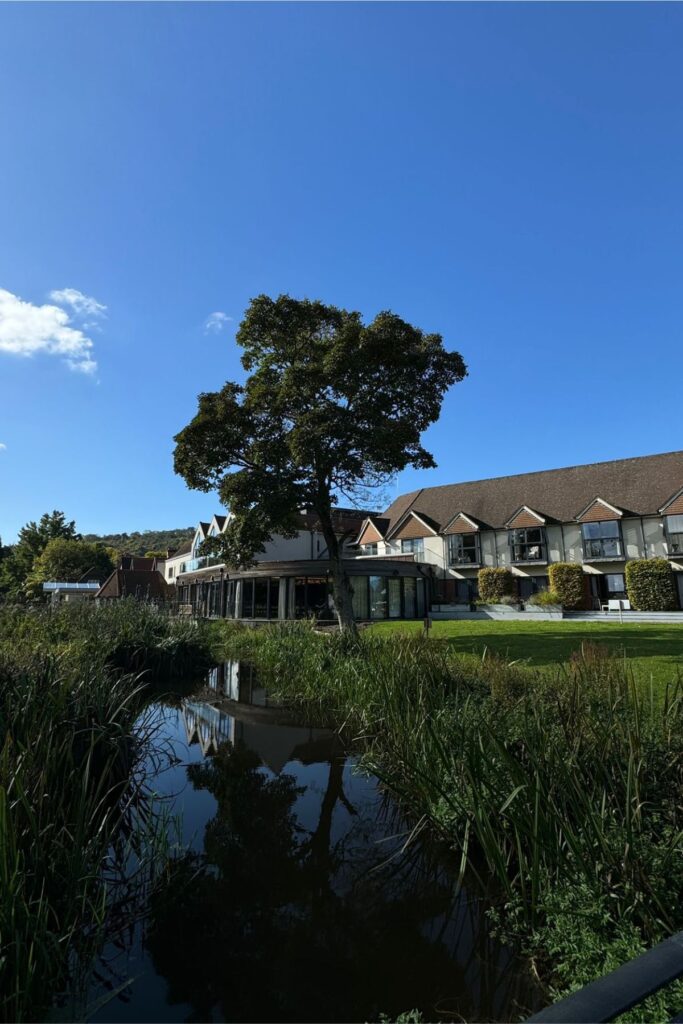 The Swan at Streatley