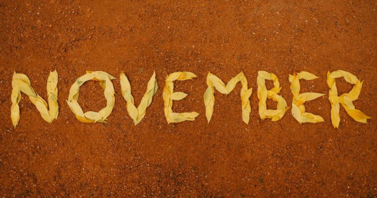 November Food & Drink