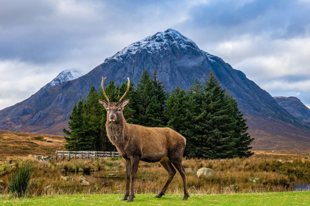 One Traveller singles holidays the Highlands