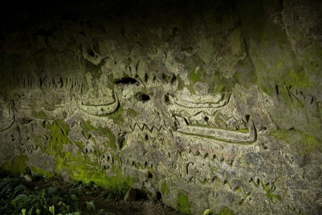 Māori experience in New Zealand