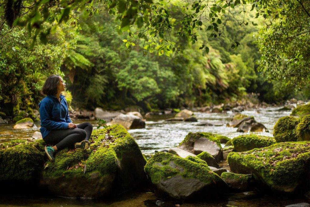 Māori experience in New Zealand