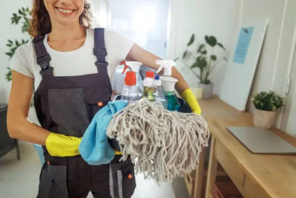 professional cleaners