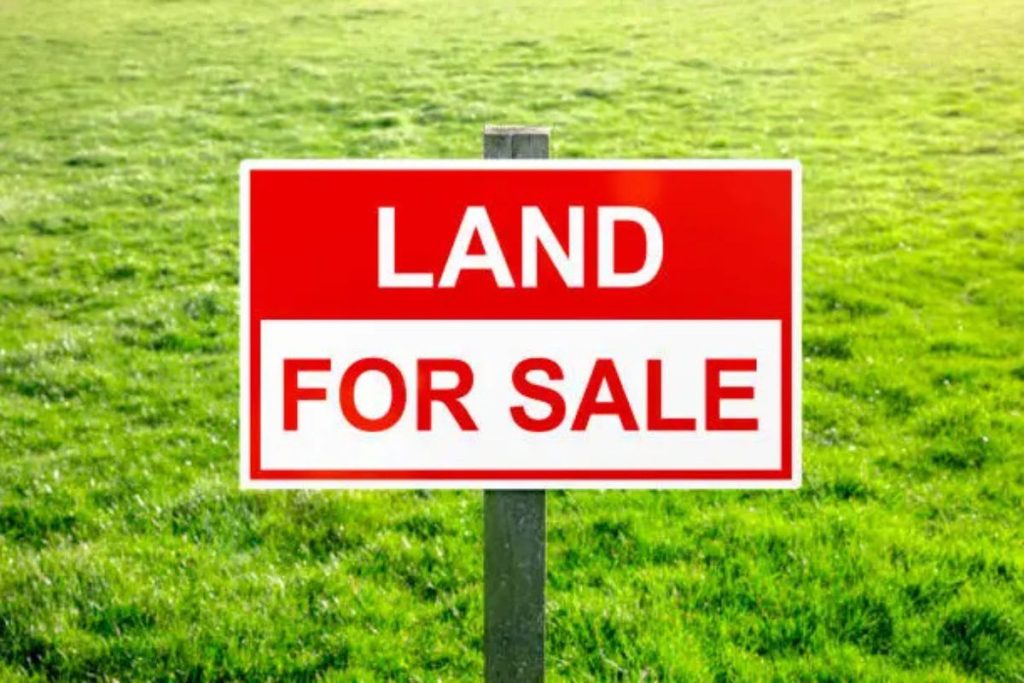 South Carolina land market