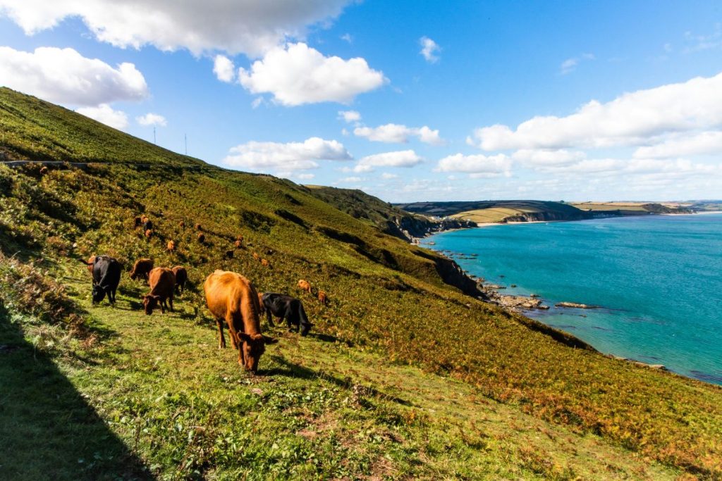 countryside breaks Devon