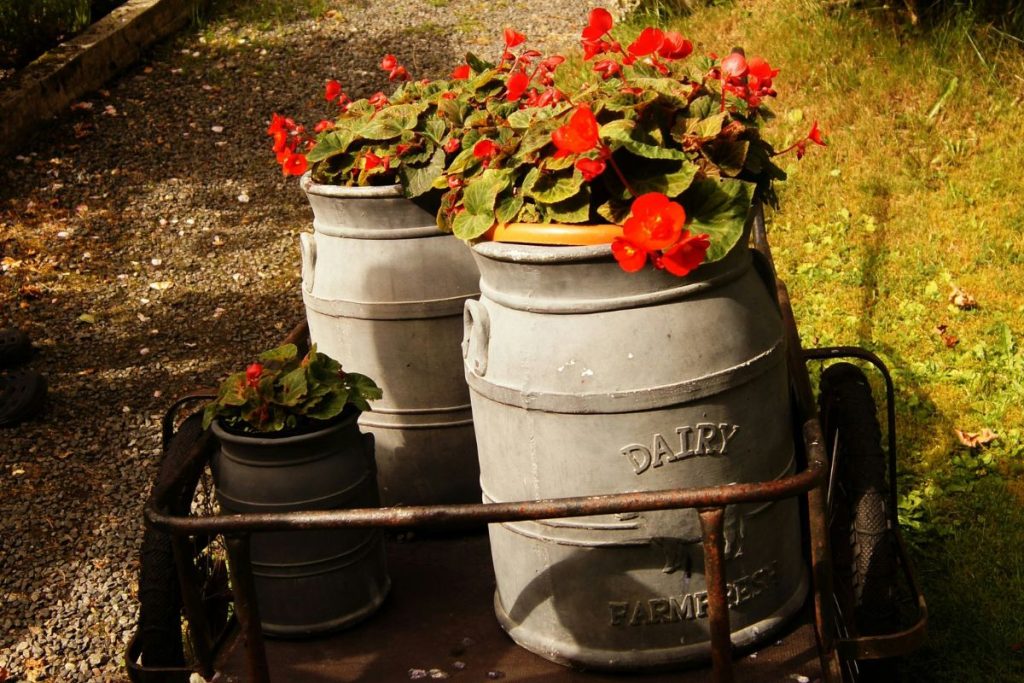 garden visual impact