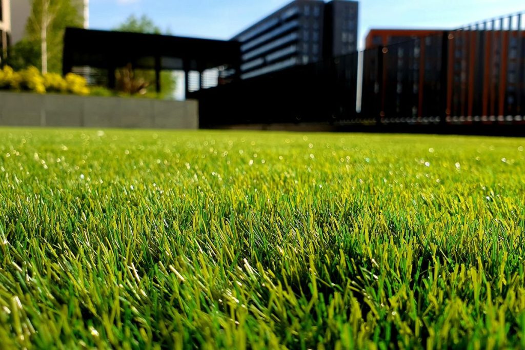 treating a dry lawn