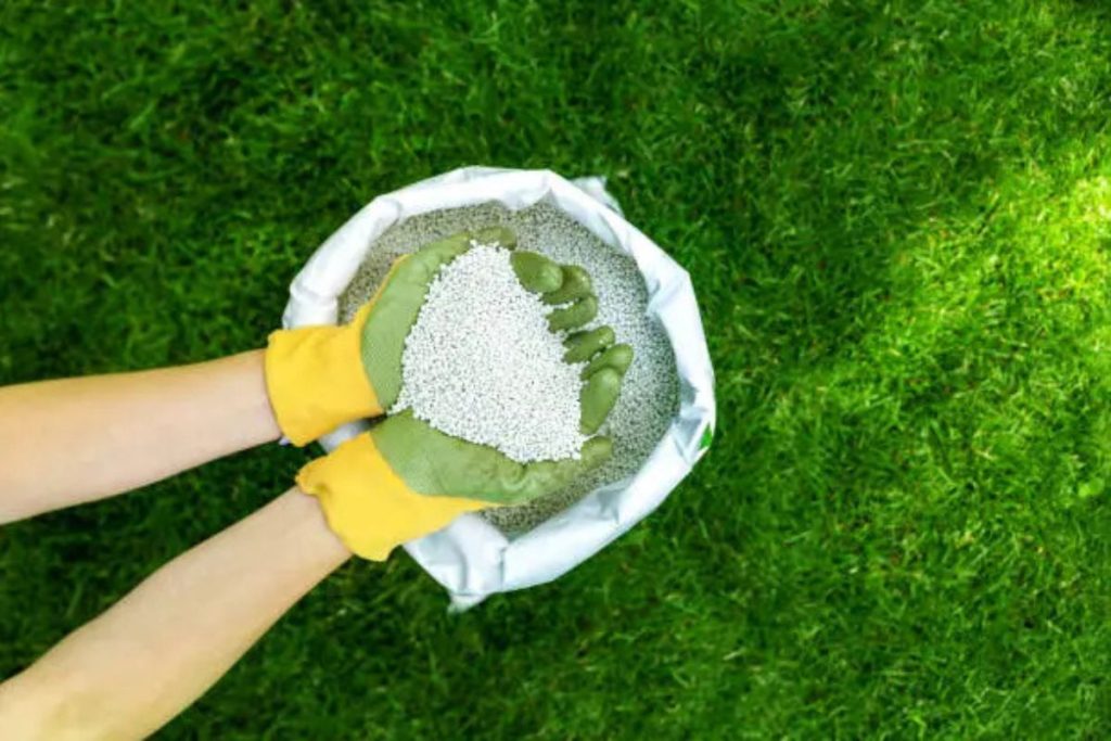 treating a dry lawn