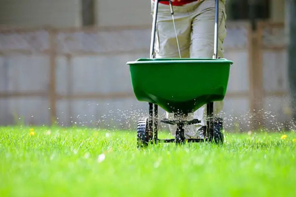 treating a dry lawn