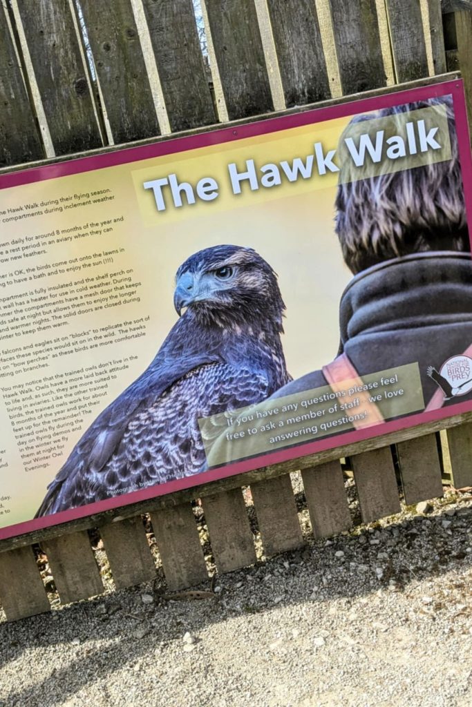 The Hawk Walk